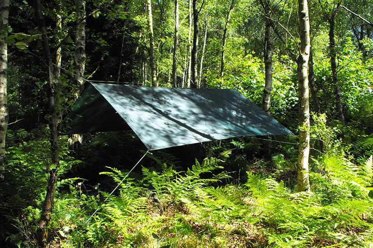 dd-tarp-for-forest-schools