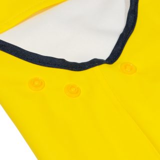 yellow-poppas-open-unlined